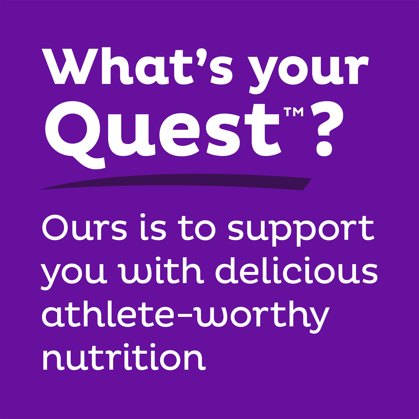 double-chocolate-chunk-protein-bars-s4 qst-000241_double-chocolate-chunk-protein-bars_9.png